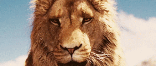 Lion King Leon GIF