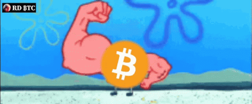 Bitcoin Thank You GIF - Bitcoin Thank You Rd_btc GIFs