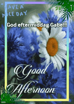 a greeting card that says " have a nice day god eftermiddag gabe "