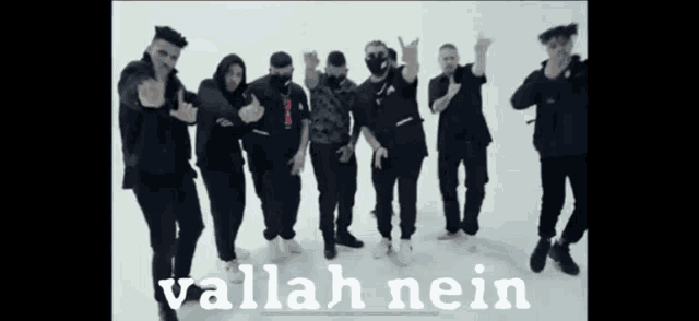 a group of men are standing in a line with the words vallah nein in the bottom right corner