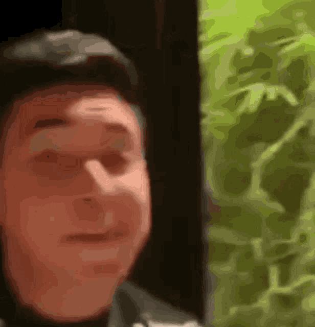 a close up of a man 's face with a blurry background of trees .