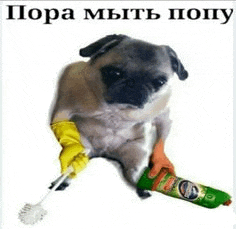 a pug dog is holding a toilet brush and a bottle of pringles