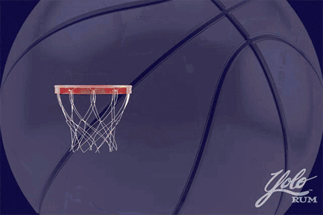 You Only Live Once Yolobasketball GIF - You Only Live Once Yolobasketball Basketball GIFs
