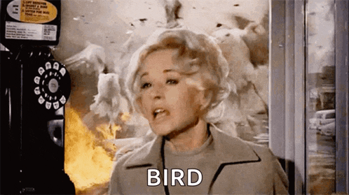 a woman is standing in front of a phone booth with birds flying around her and the word bird written on her face .
