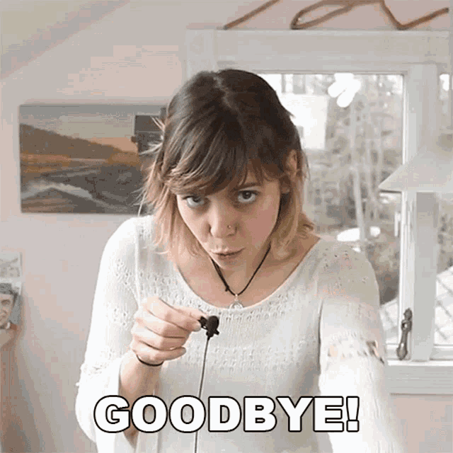 Good Bye Robin Sealark GIF - Good Bye Robin Sealark See You GIFs
