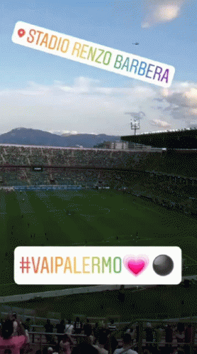 Palermo Calcio GIF - Palermo Calcio Rosanero GIFs