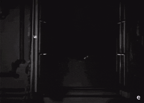 a black and white photo of a door with the letter e in the lower right corner