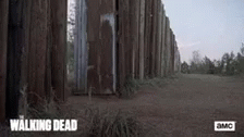 The Walking Dead Twd GIF - The Walking Dead Twd GIFs