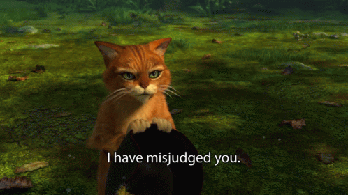 Shrek Puss In Boots GIF - Shrek Puss In Boots I Have Misjudged You GIFs