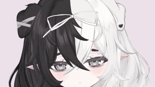 a drawing of a girl with half black and white hair