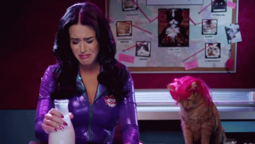 "Lets Go" Katy And The Popchip Cats GIF - Comedy Chips Katy GIFs