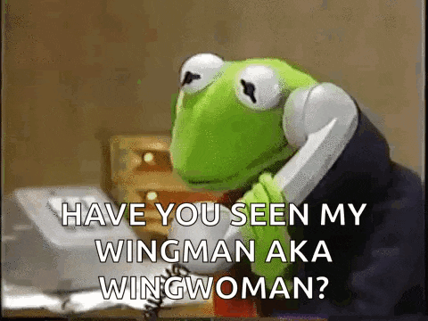 kermit the frog is talking on a telephone and asking if he has seen his wingman aka wingwoman .