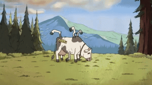 Gravity Falls Cow GIF - Gravity Falls Cow Wtf GIFs