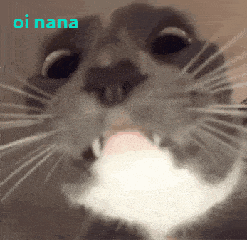 Oi Nana Cute Cat Look GIF - Oi Nana Oi Cute Cat Look GIFs