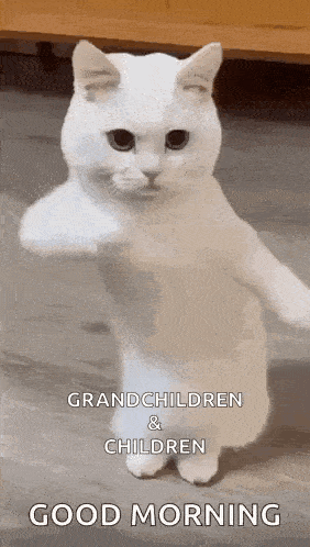 a white cat is standing on its hind legs with its paws outstretched and says `` grandchildren & children good morning '' .