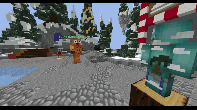 a screenshot of a minecraft game shows a purple banner that says vip