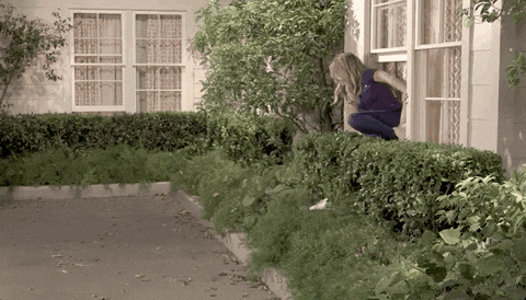 a woman in a blue shirt is looking out a window