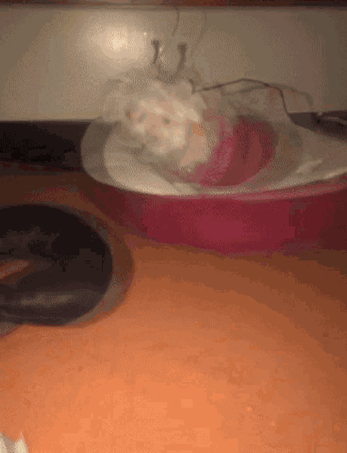 a snake is laying on a table next to a pink bowl