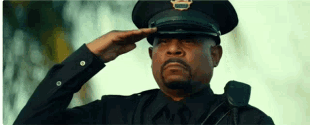 a police officer salutes while wearing a black uniform and hat