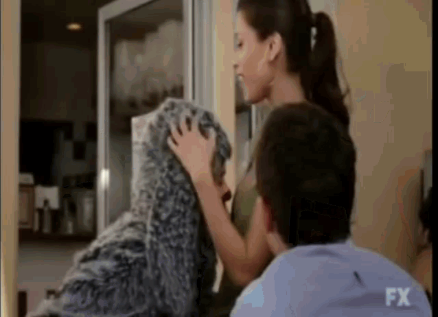 Wilfred Dont Be Sad GIF - Wilfred Dont Be Sad Funny GIFs