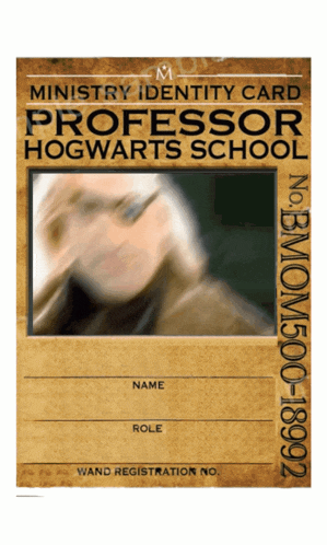 ministry identity card for professor hogwarts school