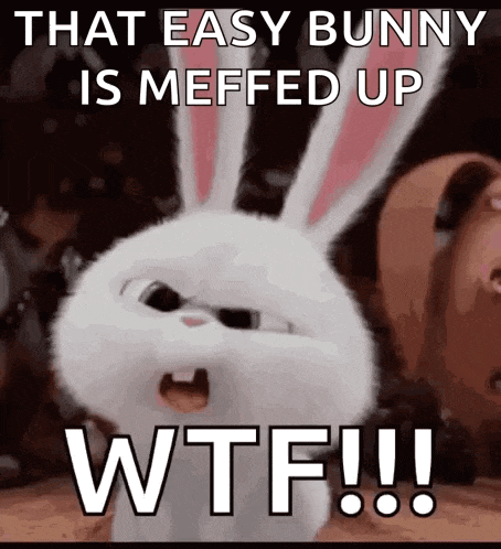 a white bunny with sunglasses on says that easy bunny is meffed up wtf !!!