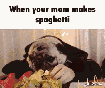 a pug dog is eating spaghetti with a caption that says when your mom makes spaghetti