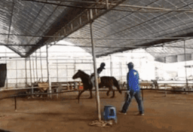 a man in a blue jacket is walking in front of a horse