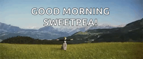 Sound Of Music Julie Andrews GIF - Sound Of Music Julie Andrews Look At All The Fucks I Give GIFs
