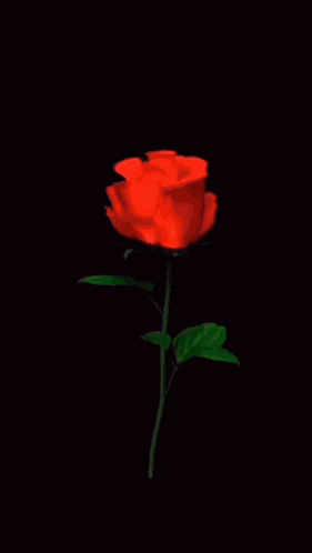 a poster for koncerto fatma with a red rose