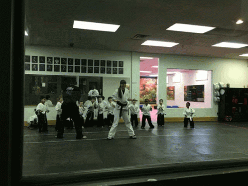 Karate Sportif GIF - Karate Sportif Enfants GIFs