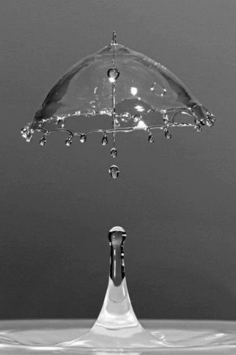 Drip Umbrella GIF - Drip Umbrella GIFs