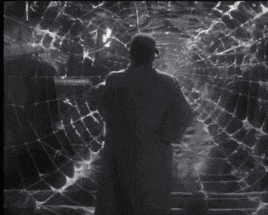 a black and white photo of a spider web