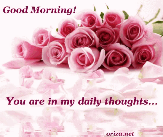 a bouquet of pink roses with the words " you are in my daily thoughts " below them