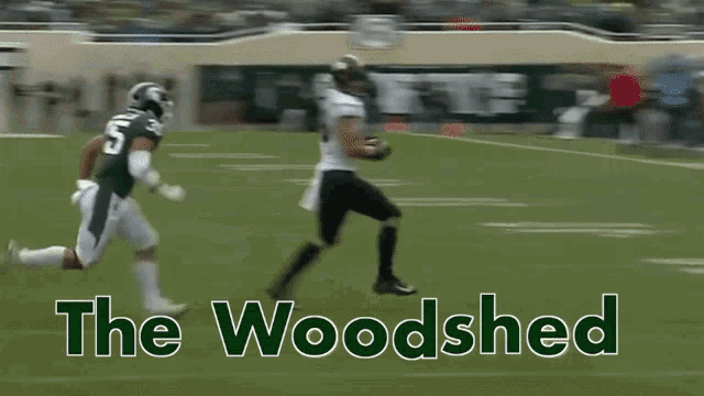 a football player is running with the words the woodshed below him