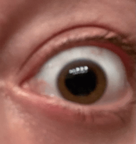 Eye Eyeball GIF - Eye Eyeball Pupil GIFs