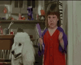 a little girl in a red dress is brushing her white poodle
