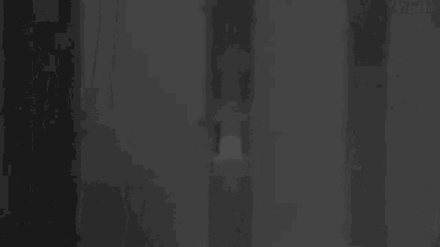 a black and white photo of a person 's face behind bars in a dark room .