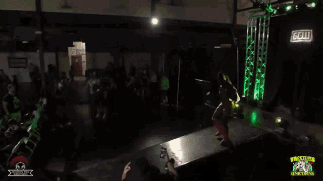 an aerial view of a wrestling event with the words wrestling unicorns
