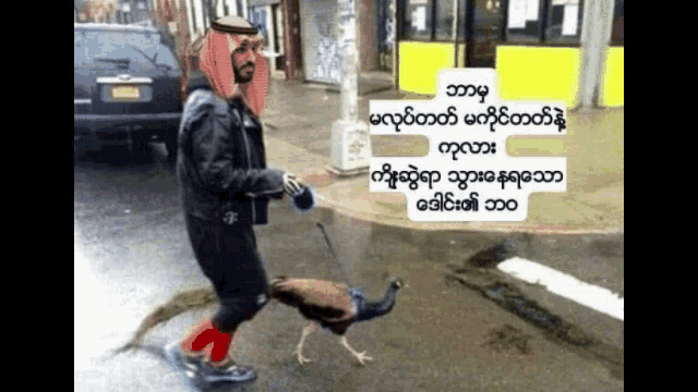 a man is walking a peacock on a leash on a street with foreign writing on the bottom