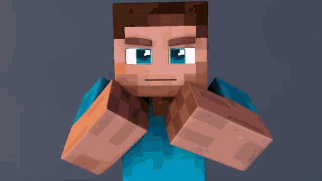a minecraft character with a blue shirt and brown hair