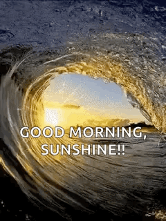 Goodmorning Sunshine GIF - Goodmorning Sunshine Ocean GIFs