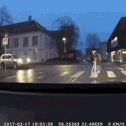 Fail Pedestrian GIF - Fail Pedestrian Old GIFs