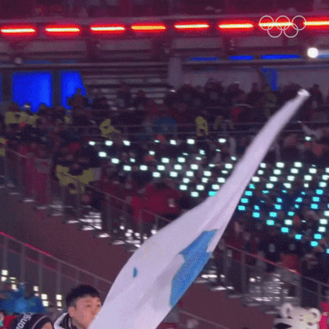 Waving The Flag Olympics GIF - Waving The Flag Olympics This Is Our Flag GIFs