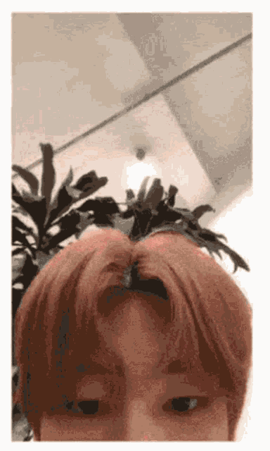 a close up of a person 's head with plants in the background