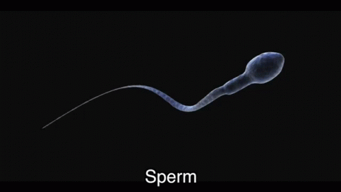 Sperm Its Rucka GIF - Sperm Its Rucka Rihanna Work Parody Song GIFs