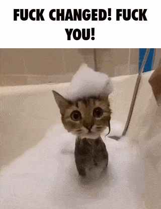 a cat is taking a bath in a bathtub with soap foam on its head .