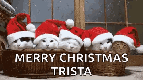 a group of cats wearing santa hats are sitting in a wicker basket .