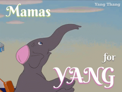 Mamas For Yang Moms For Yang GIF - Mamas For Yang Moms For Yang Yang Moms GIFs