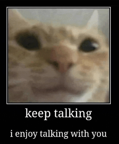 a poster of a cat with the words `` keep talking i enjoy talking with you '' .
